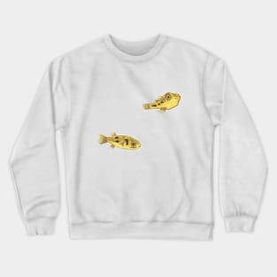 Pea Puffers - BB Puffers - Mini Puffer Fish Crewneck Sweatshirt